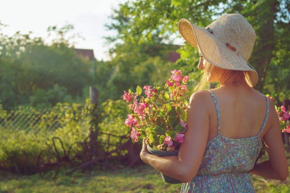 Spring Energy Saving Tips Sungenia Solar